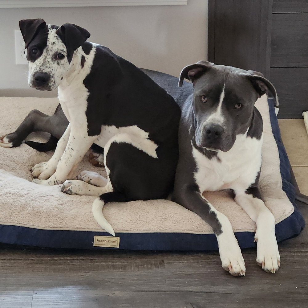 Women's, Men's and Children's clothing & shoes with the occasional hard good.